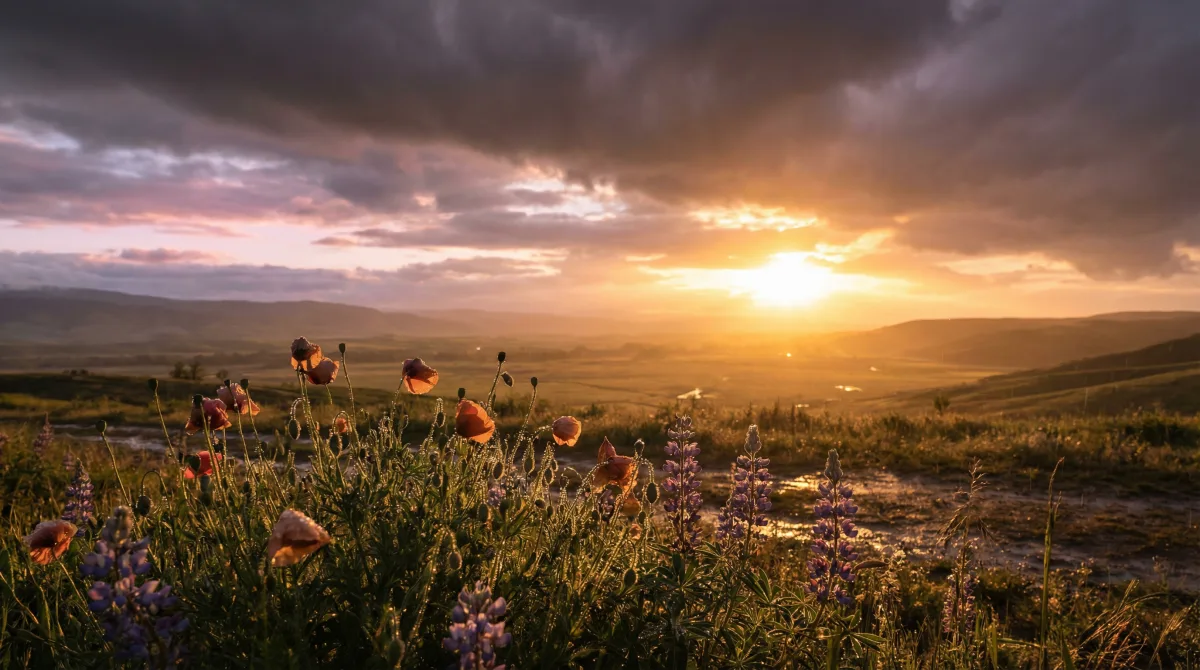 The Alchemy of Completion: What Real Forgiveness Feels Like