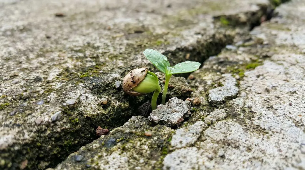 How To Create Miracles